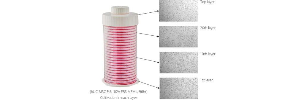 Ingens – Live Cell Instrument