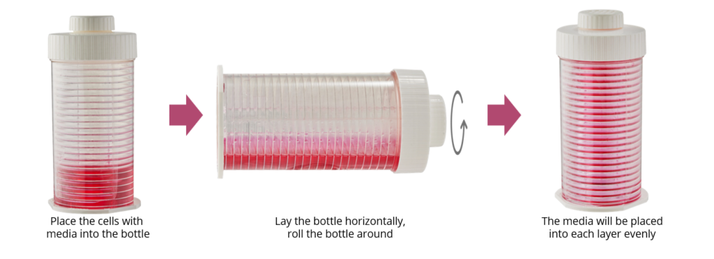 Ingens - Live Cell Instrument - live cell imaging