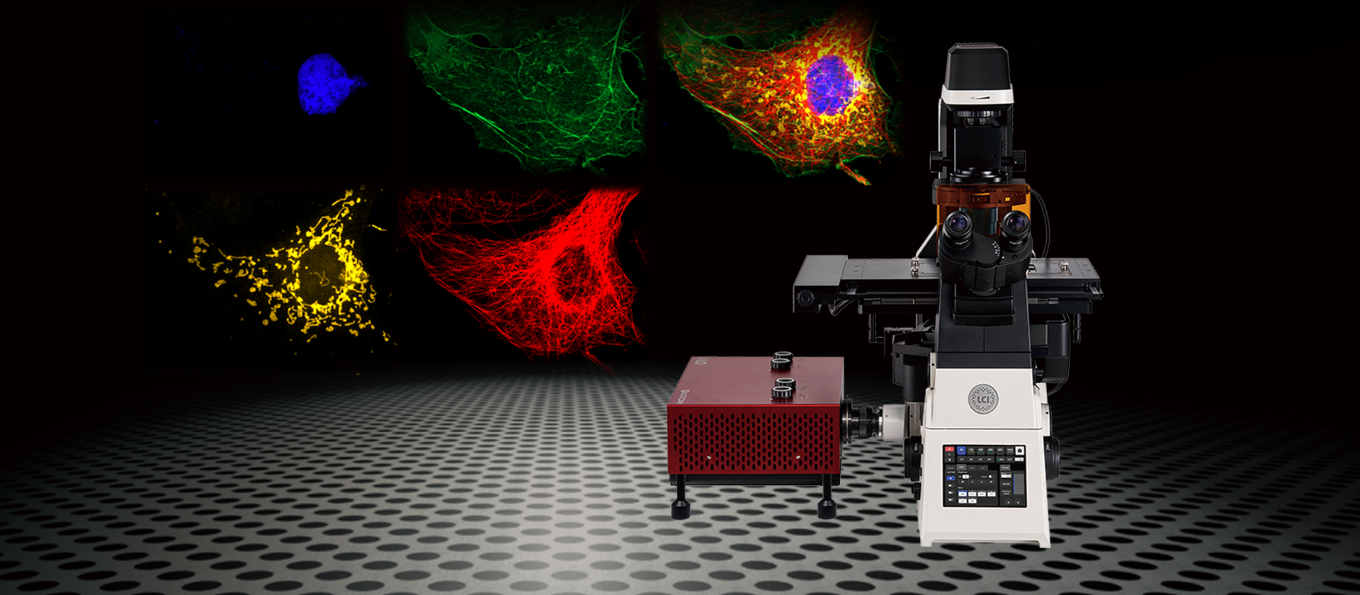 quadscan