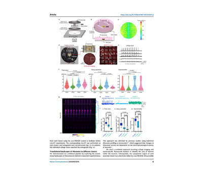 Electron Microscopy(EM) Grid Imaging