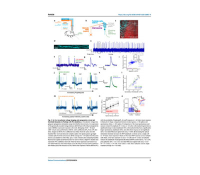 two-photon microscope calibration with voltage indicator protein