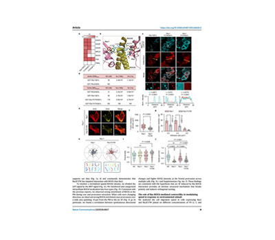 (Spatiotemporal) Cell Dynamics imaging