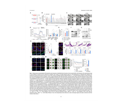 single-molecule imaging with STORM