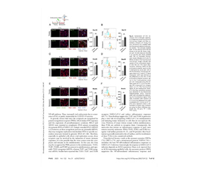 Live-cell imaging of Endothelial Endocytosis with SIM